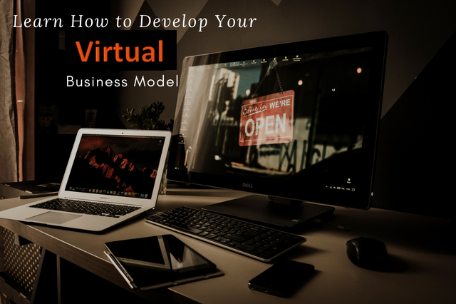 Virtual Business or Virtual Organisation