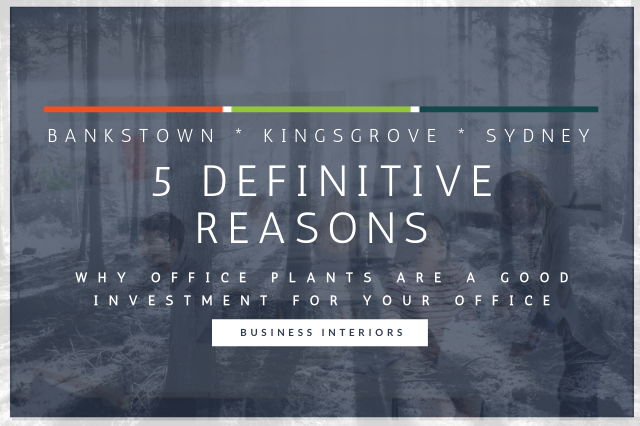 5 DEFINITIVE REASONS WHY OFFICE