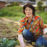 Elderly Unemployment: An older woman working in a field. 